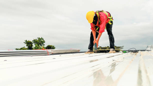 Best Roof Maintenance and Cleaning  in Delta Junction, AK